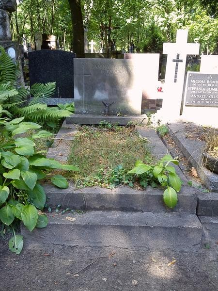 Zdjęcie grobu Janina Bombińska (1)