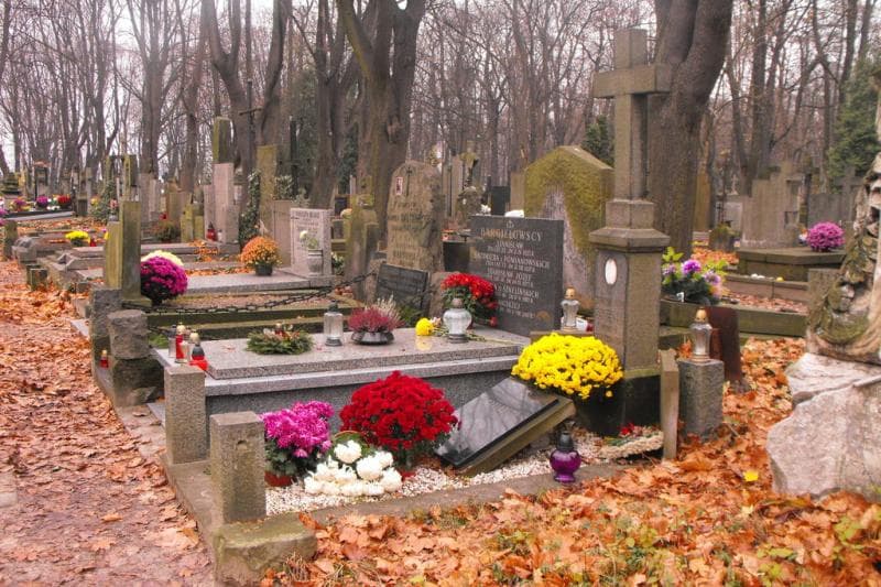 Zdjęcie grobu Jadwiga Pucołowska (1)