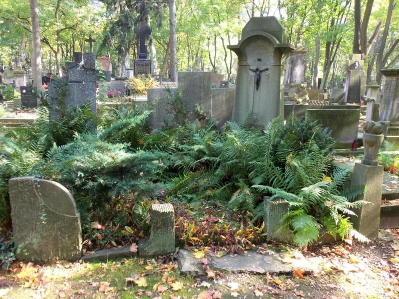 Zdjęcie grobu: Stanisław Doney