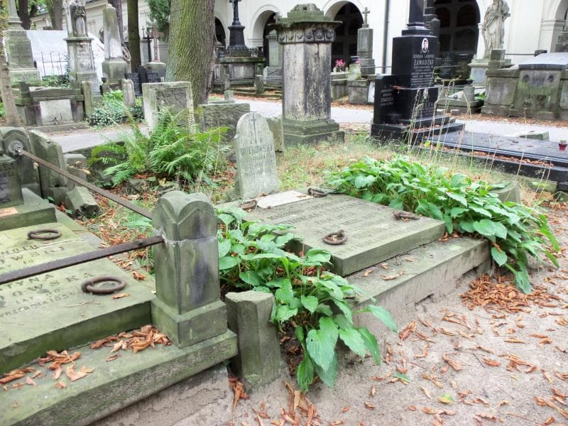 Zdjęcie grobu Maryanna Czyżewska (1)