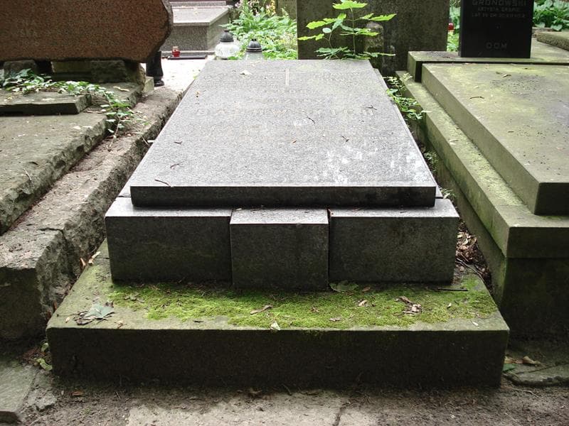 Zdjęcie grobu: Gerard Badowski