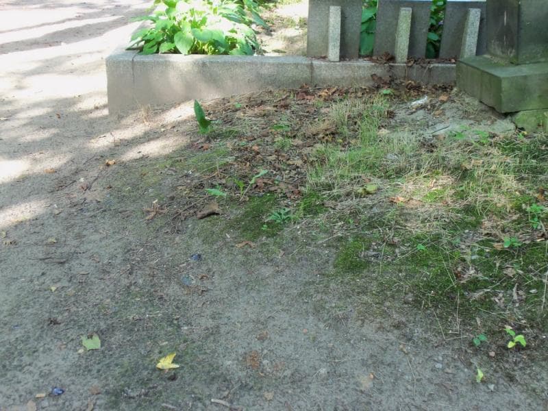 Zdjęcie grobu: Pole Grobowe