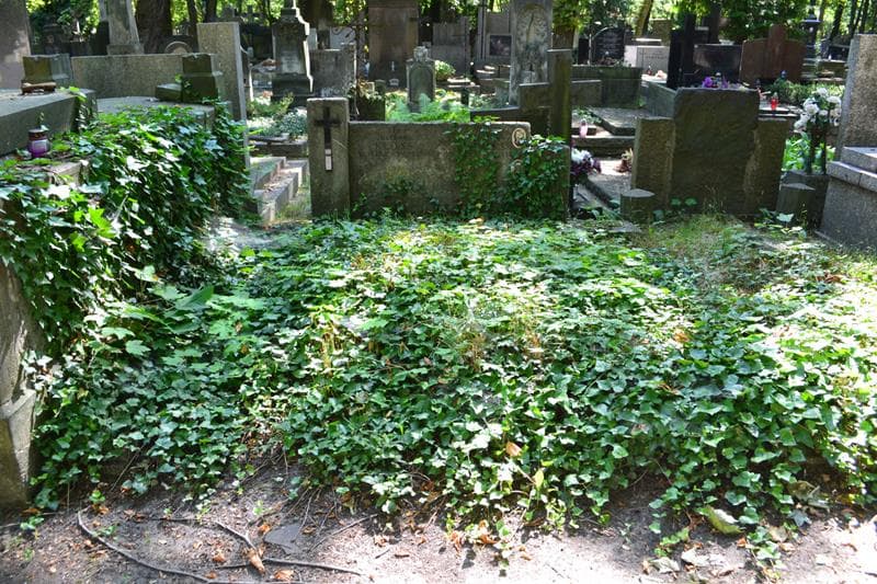Zdjęcie grobu Henryk Kłoss (1)