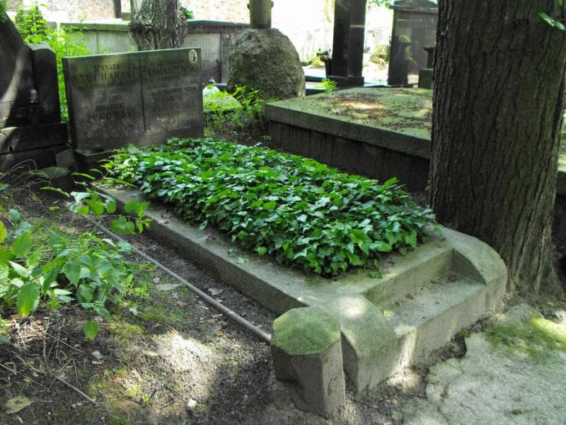 Zdjęcie grobu Zosia Kucharska (1)