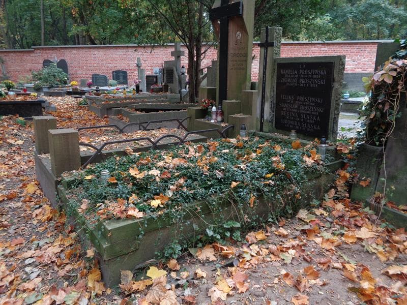 Zdjęcie grobu: Zygmunt Prószyński