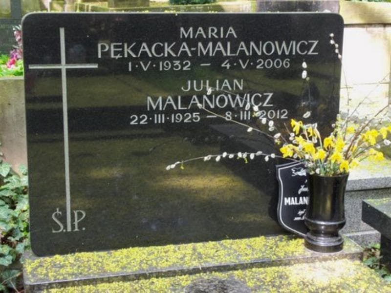 Zdjęcie grobu Julian Malanowicz (2)
