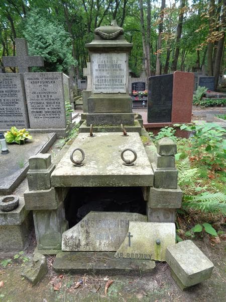 Zdjęcie grobu Andrzej Cieślewski (1)