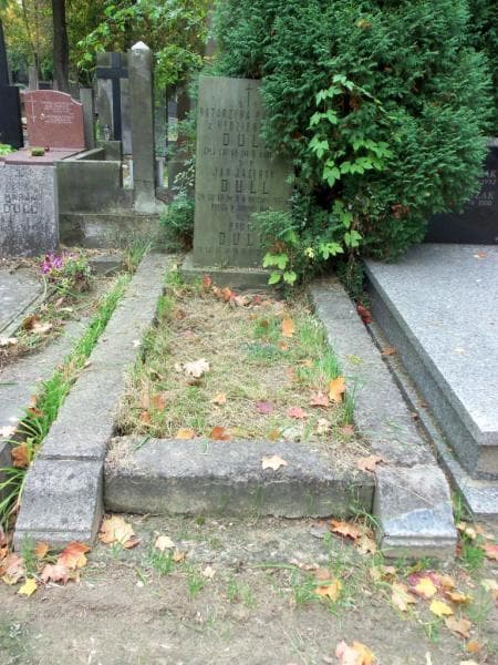 Zdjęcie grobu: Jan Jacenty Dull