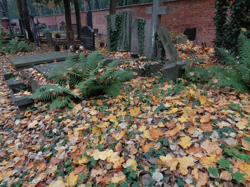 Zdjęcie grobu: Zofja De Gart