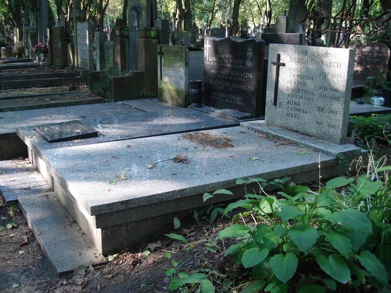 Zdjęcie grobu: Jerzy Barcikowski