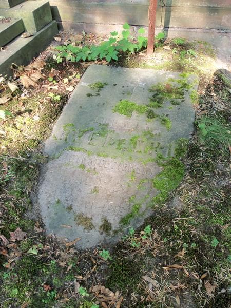 Zdjęcie grobu Ludwik Rzepecki (2)
