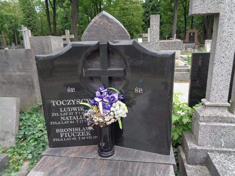 Zdjęcie grobu Ludwik Toczyński (2)