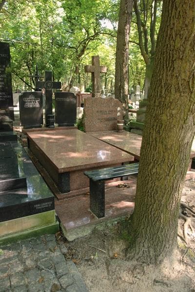 Zdjęcie grobu Stanisław Dryl (1)