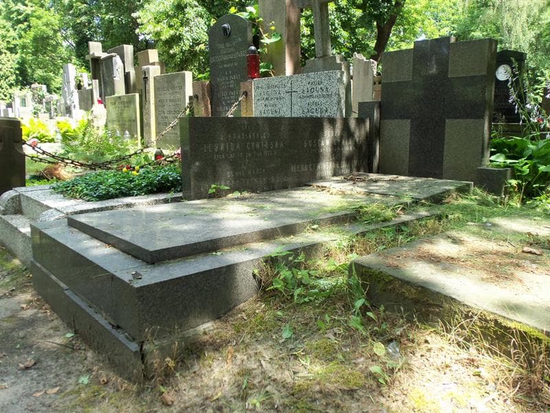 Zdjęcie grobu Irena Cywińska-Bojanowska (1)