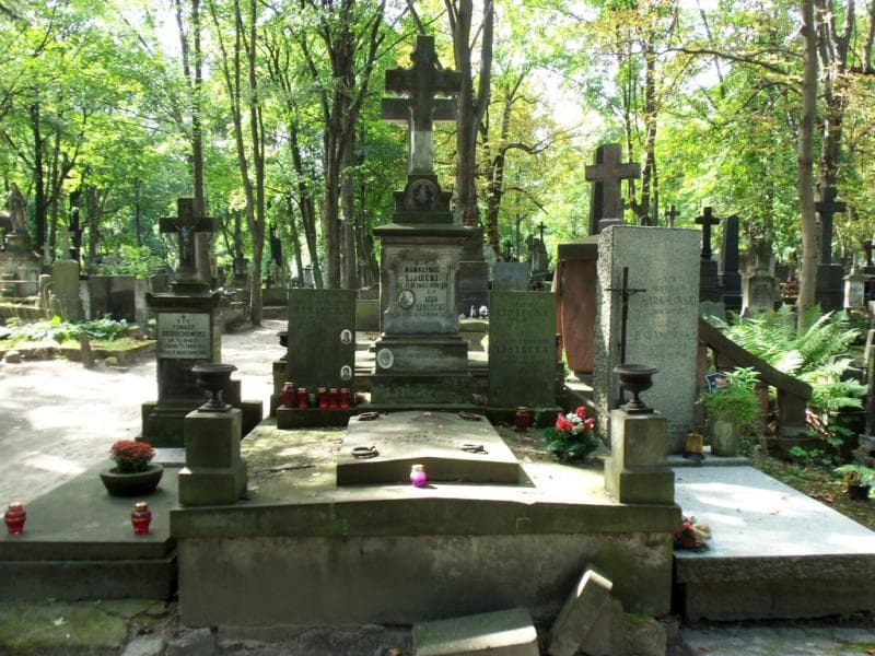 Zdjęcie grobu: Nina Drya-Lisiecka