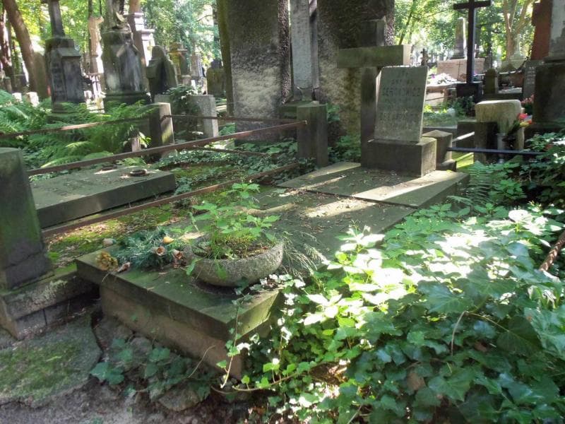 Zdjęcie grobu Franciszka Ceranowicz (1)