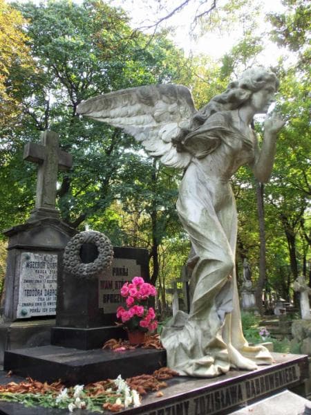 Zdjęcie grobu Tekla Dąbrowska (2)