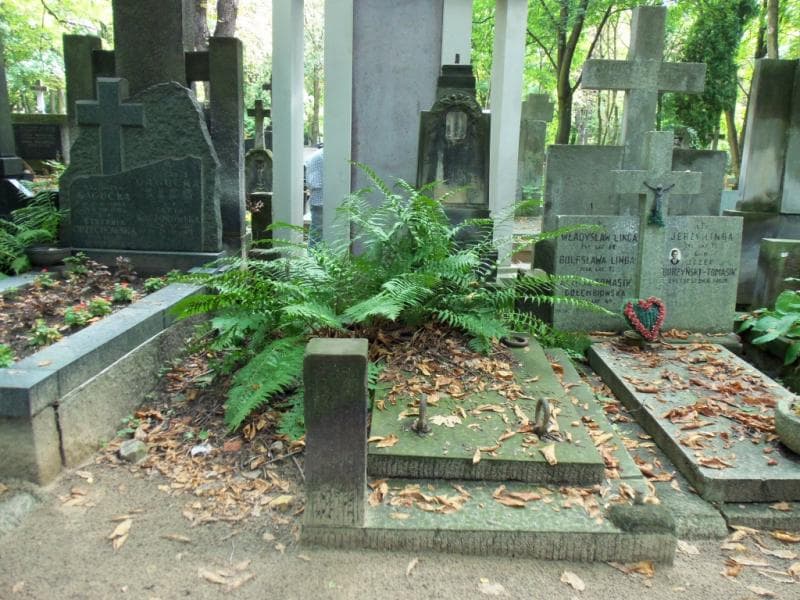 Zdjęcie grobu: Katarzyna Janusiewicz
