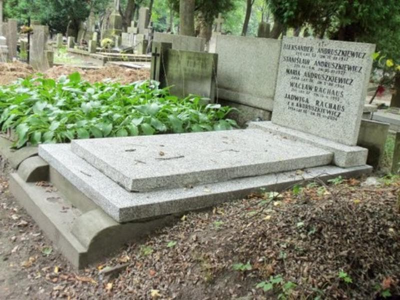 Zdjęcie grobu Aleksander Andruszkiewicz (1)