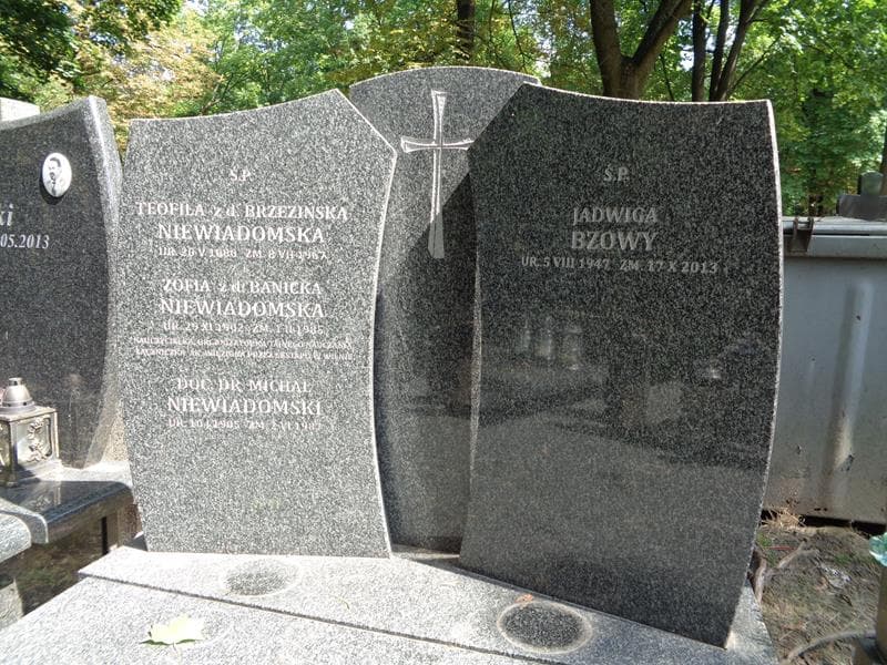 Zdjęcie grobu Jadwiga Bzowy (1)