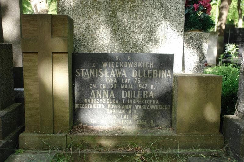Zdjęcie grobu Stanisława Dulębina (2)