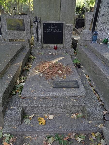Zdjęcie grobu: Maria Tomaszewska