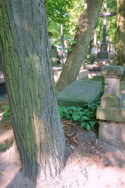 Zdjęcie grobu Marja Biernacka (1)
