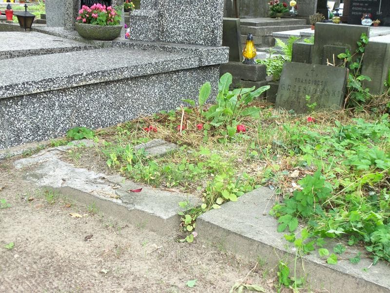Zdjęcie grobu Franciszek Grzesiowski (1)