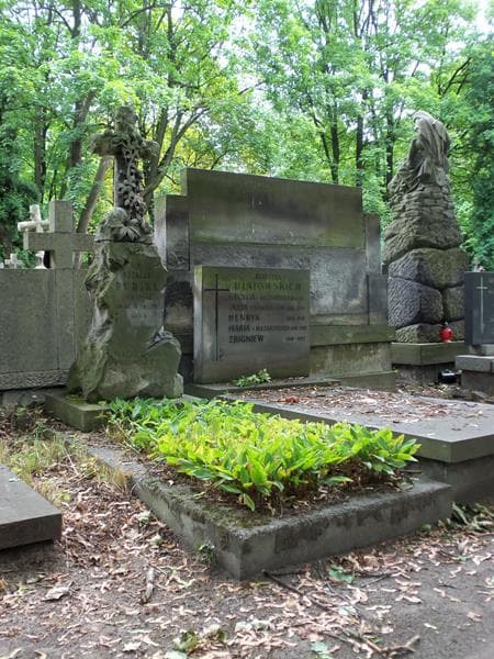 Zdjęcie grobu Teofila Majorowska (1)