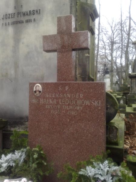 Zdjęcie grobu Aleksander Halka Ledóchowski (1)