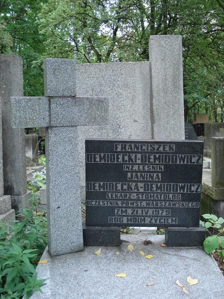 Zdjęcie grobu Janina Demidecka-Demidowicz (2)