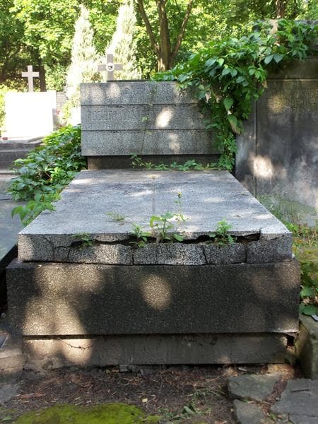 Zdjęcie grobu: Robert Lambert Grzędzielski