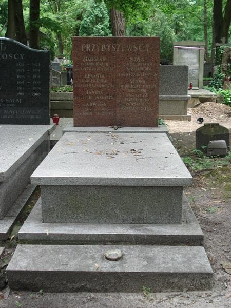 Zdjęcie grobu: Zdzisław Przybyszewski