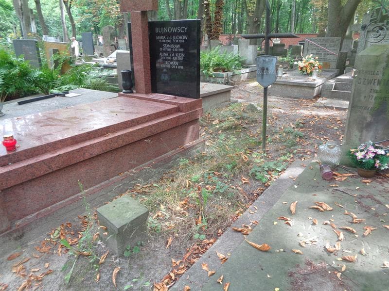 Zdjęcie grobu: Alfreda Górecka