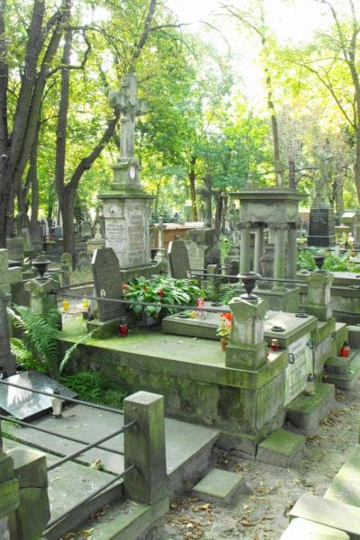 Zdjęcie grobu Teofil Malinowski (1)