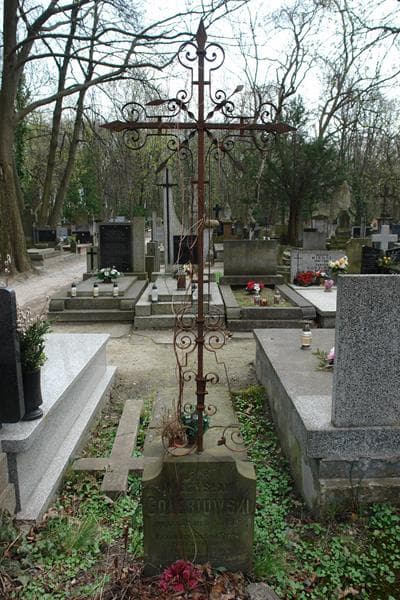 Zdjęcie grobu Władysław Gołębiowski (1)
