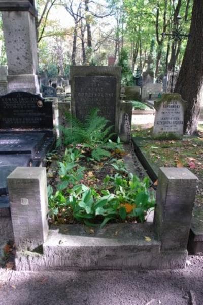 Zdjęcie grobu: Paulina Maria Odrzywolska