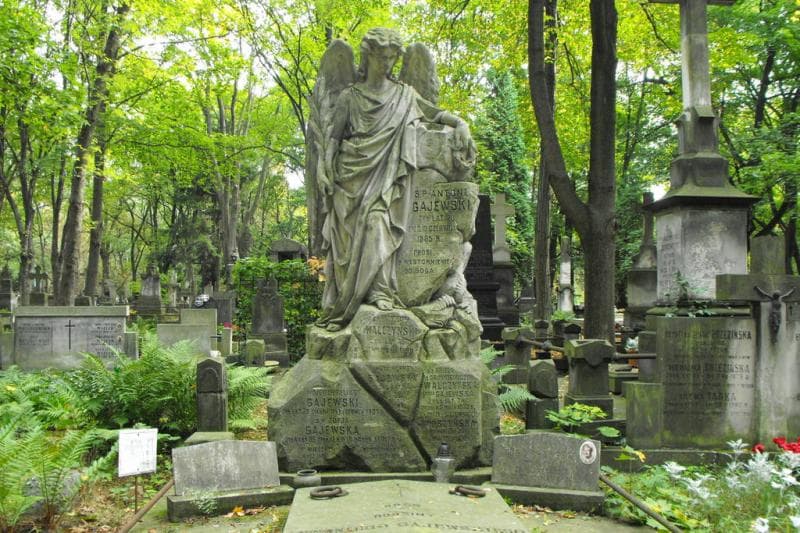 Zdjęcie grobu Franciszek Walczyński (2)