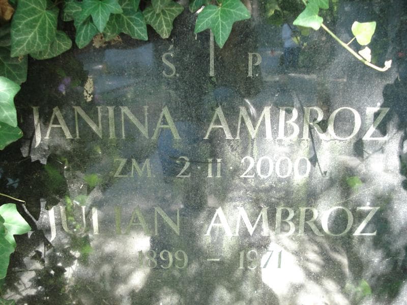 Zdjęcie grobu Janina Ambroż (2)