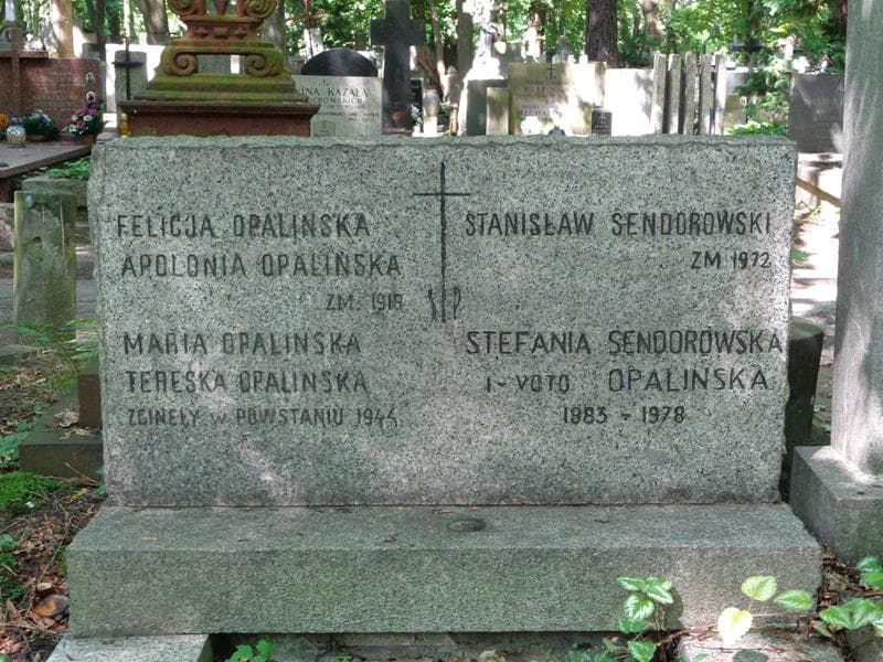 Zdjęcie grobu Apolonia Opalińska (2)