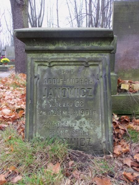 Zdjęcie grobu Adolf - Michał Janowicz (1)