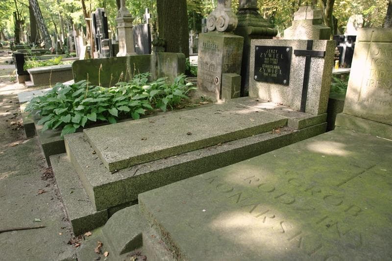 Zdjęcie grobu: Jerzy Żywiel
