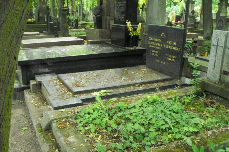 Zdjęcie grobu: Antoni Kleniewski