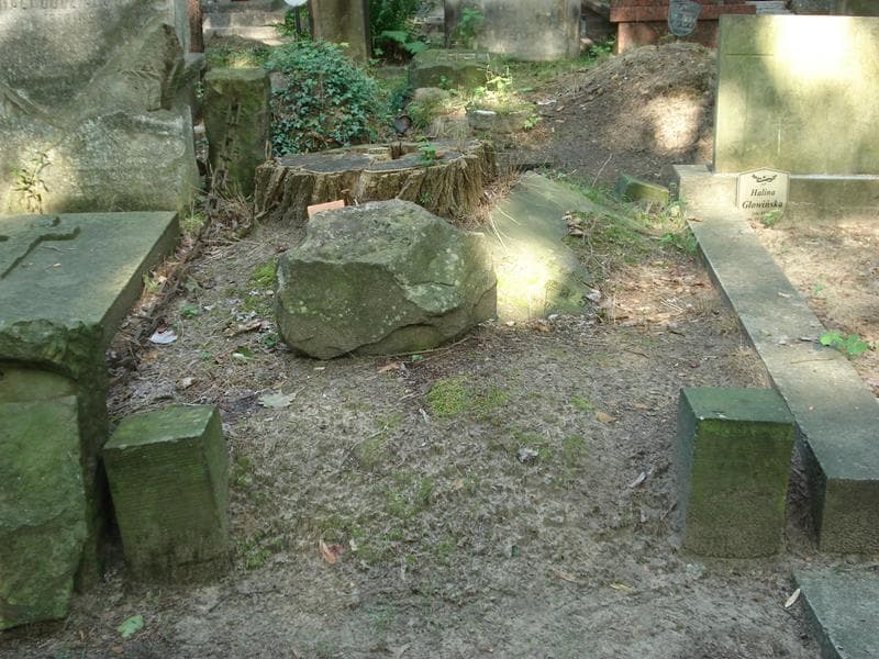 Zdjęcie grobu: Julja Dąbrowska