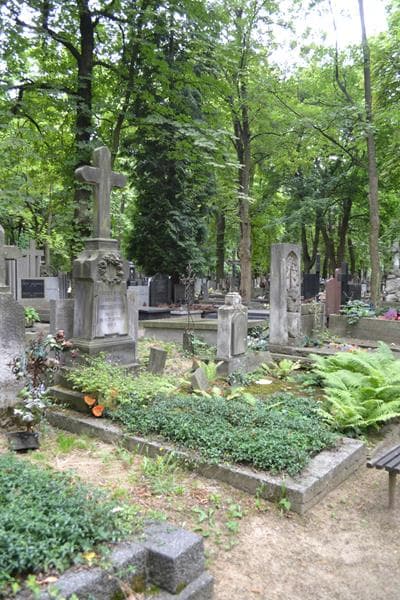 Zdjęcie grobu: Wacława Rozalja Niedziałkowska