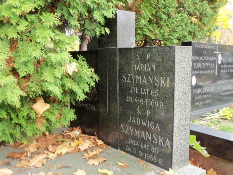 Zdjęcie grobu Stanisława Plucińska (2)