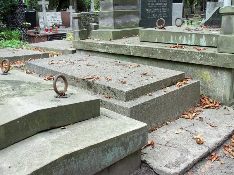 Zdjęcie grobu Franciszek Kwiatuszyński (1)
