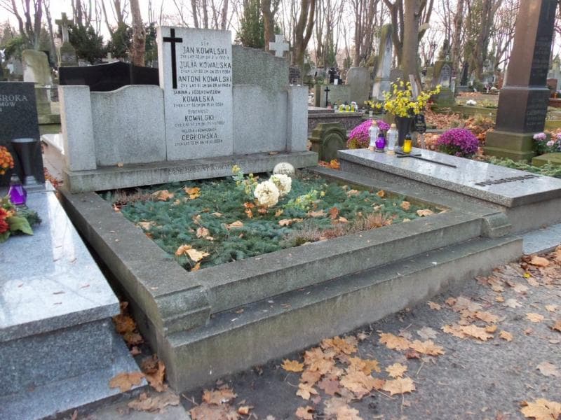 Zdjęcie grobu Helena Cegłowska (1)