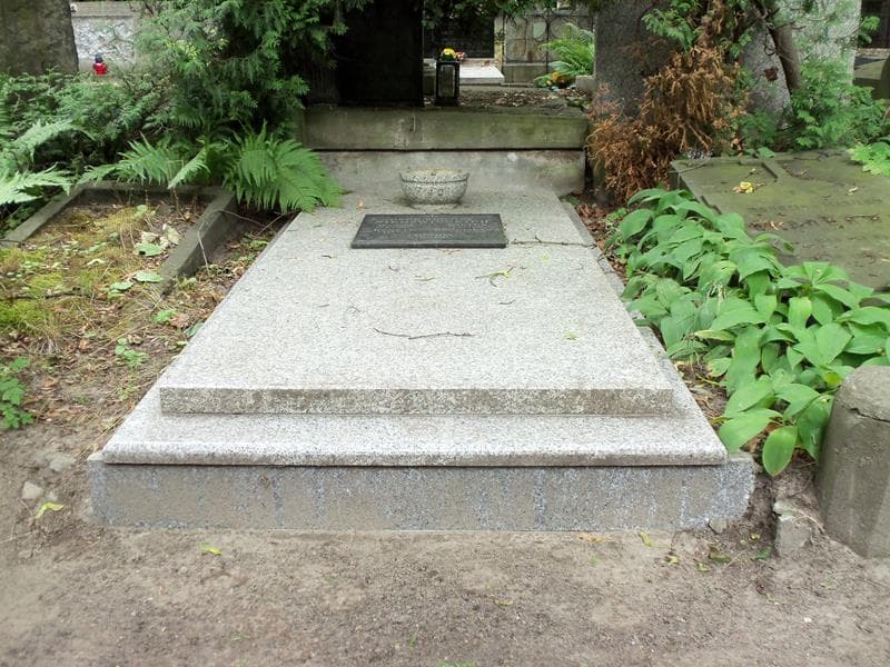 Zdjęcie grobu: Henryk Niedźwiecki