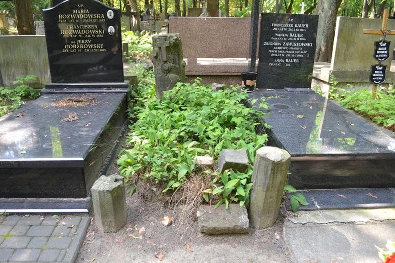 Zdjęcie grobu Lucyna Burke (1)